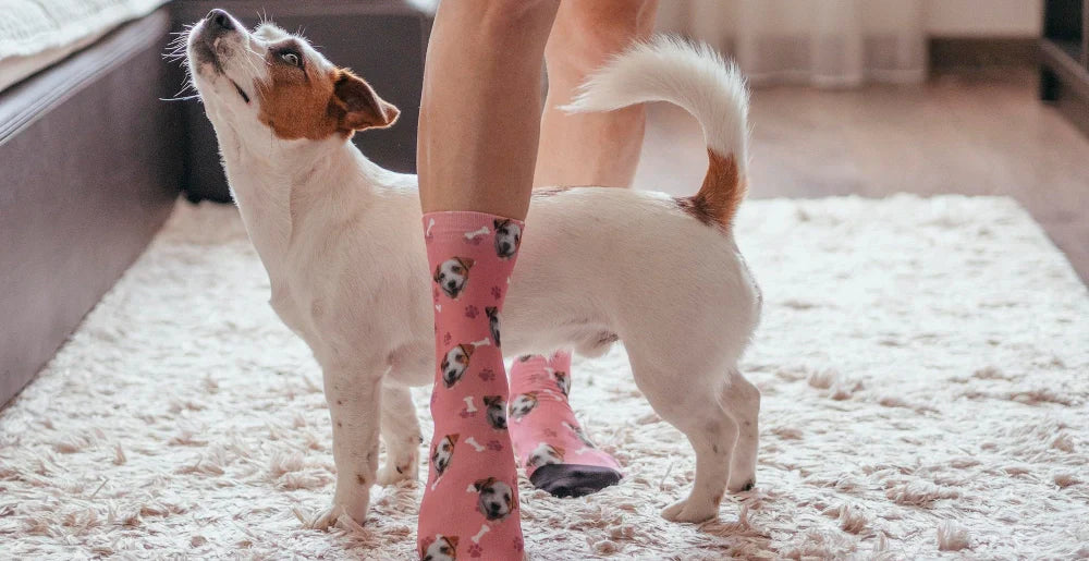 People with custom dog socks