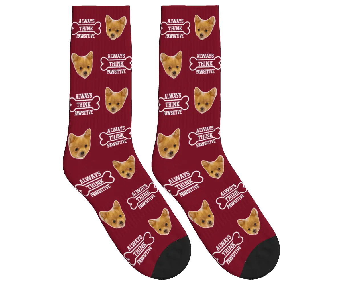 Always Think Pawsitive Socks with Dog Faces - Burgundy / Crew Socks