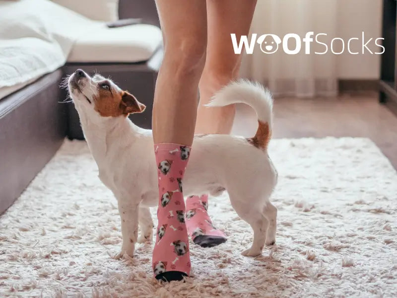 Dog face on socks