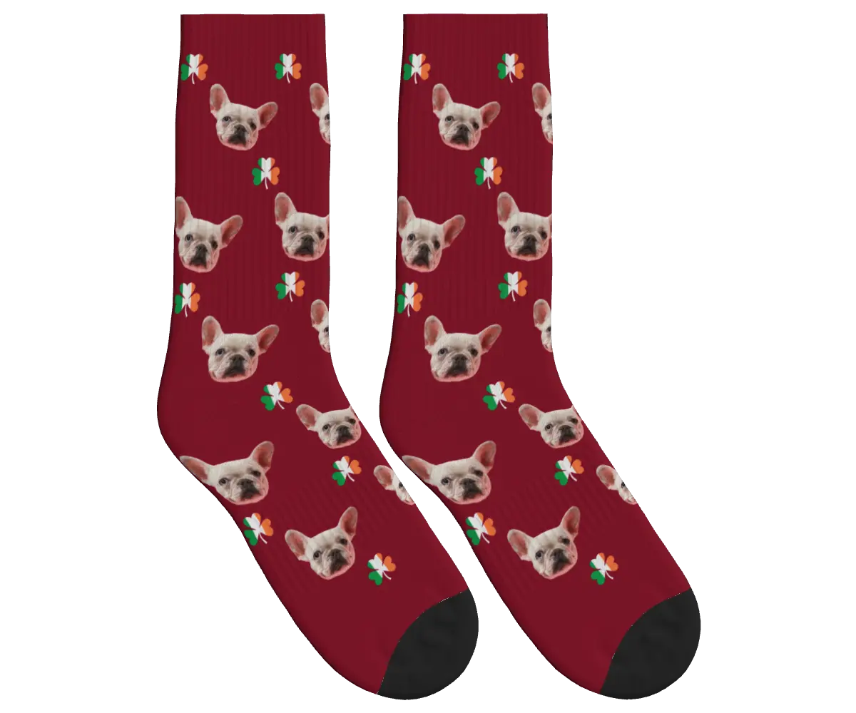 Dog Face Socks with Shamrocks in Irish Colors - Burgundy / Crew Socks