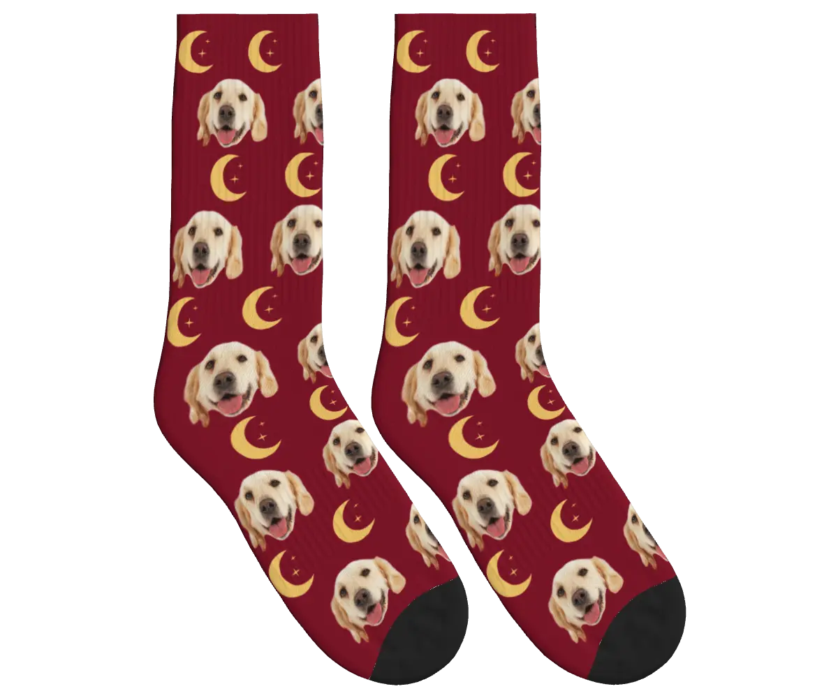 Moons & Pup Faces Socks - Burgundy / Crew Socks