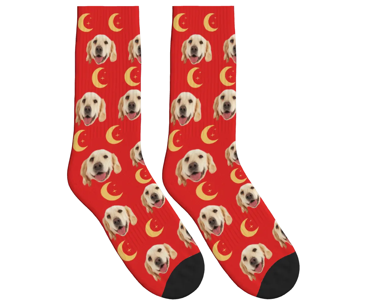 Moons & Pup Faces Socks - Red / Crew Socks
