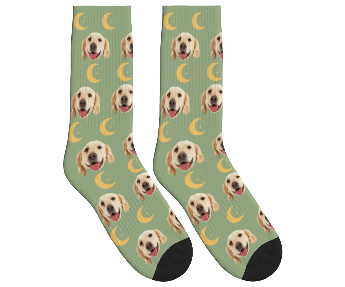 Moons & Pup Faces Socks - Sage Green / Crew Socks