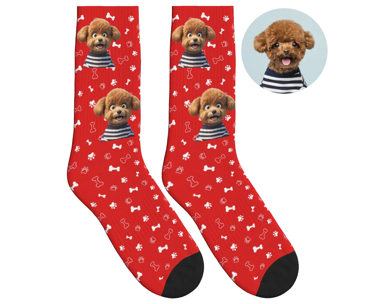 Photo-to-Art Socks - Red / CG Animation