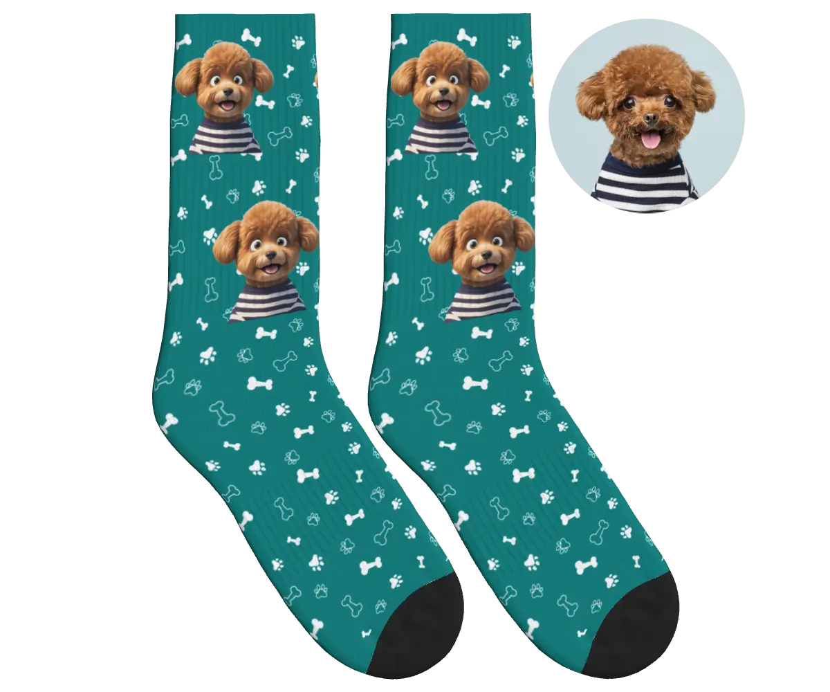 Photo-to-Art Socks - Teal / CG Animation