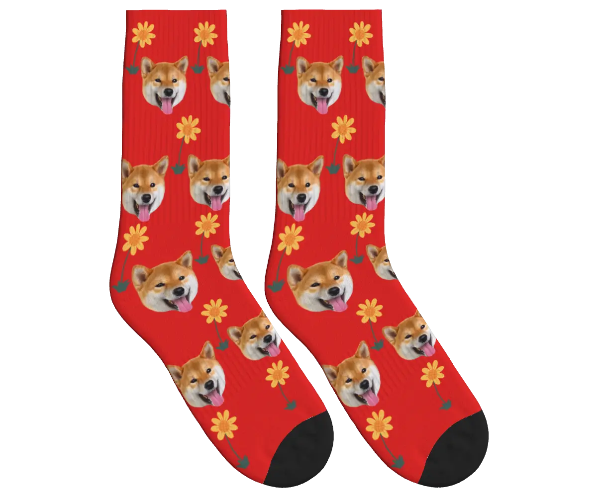 Sunflower & Dog Face Socks - Red / Crew Socks