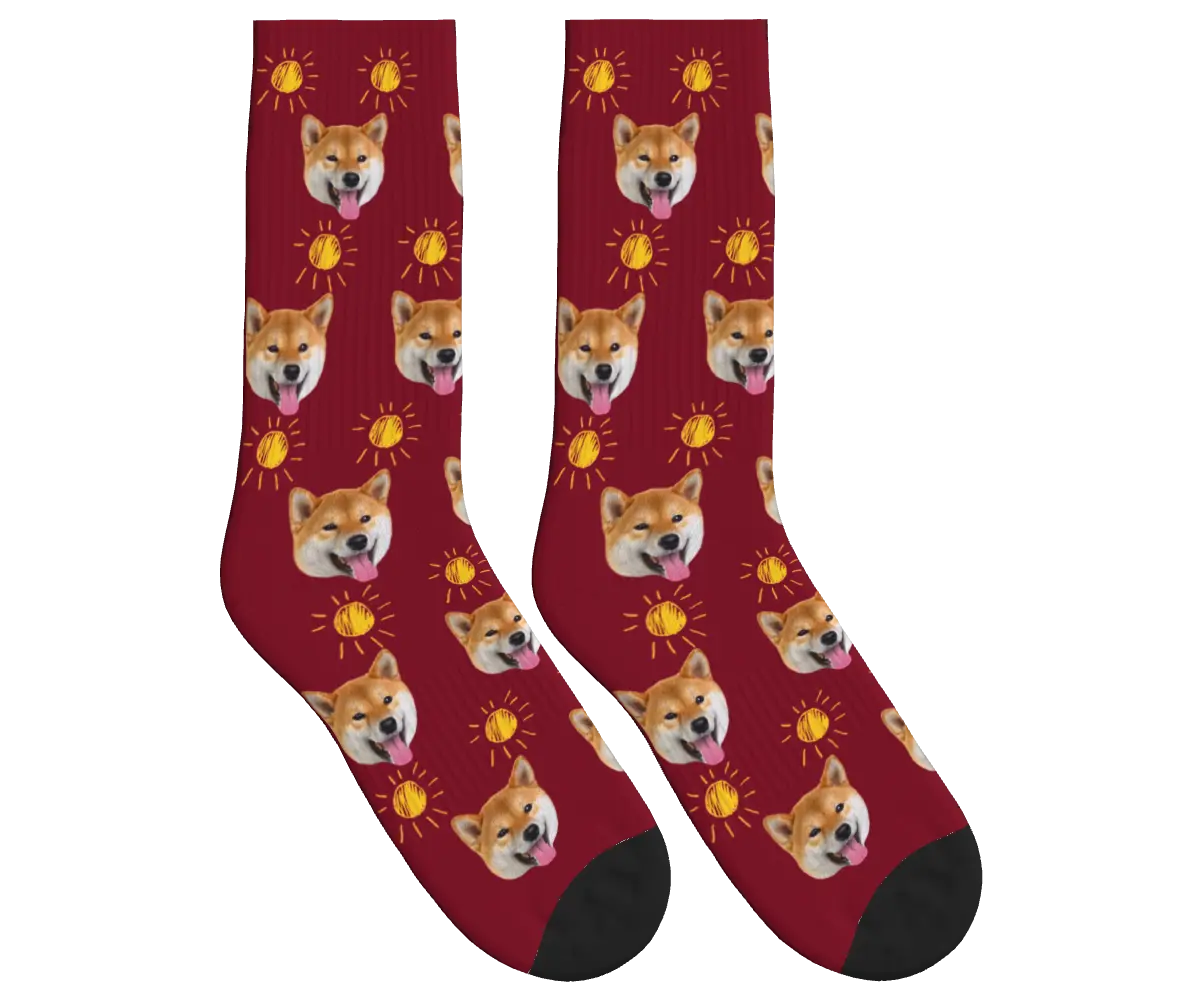 Suns & Dog Faces Socks - Burgundy / Crew Socks