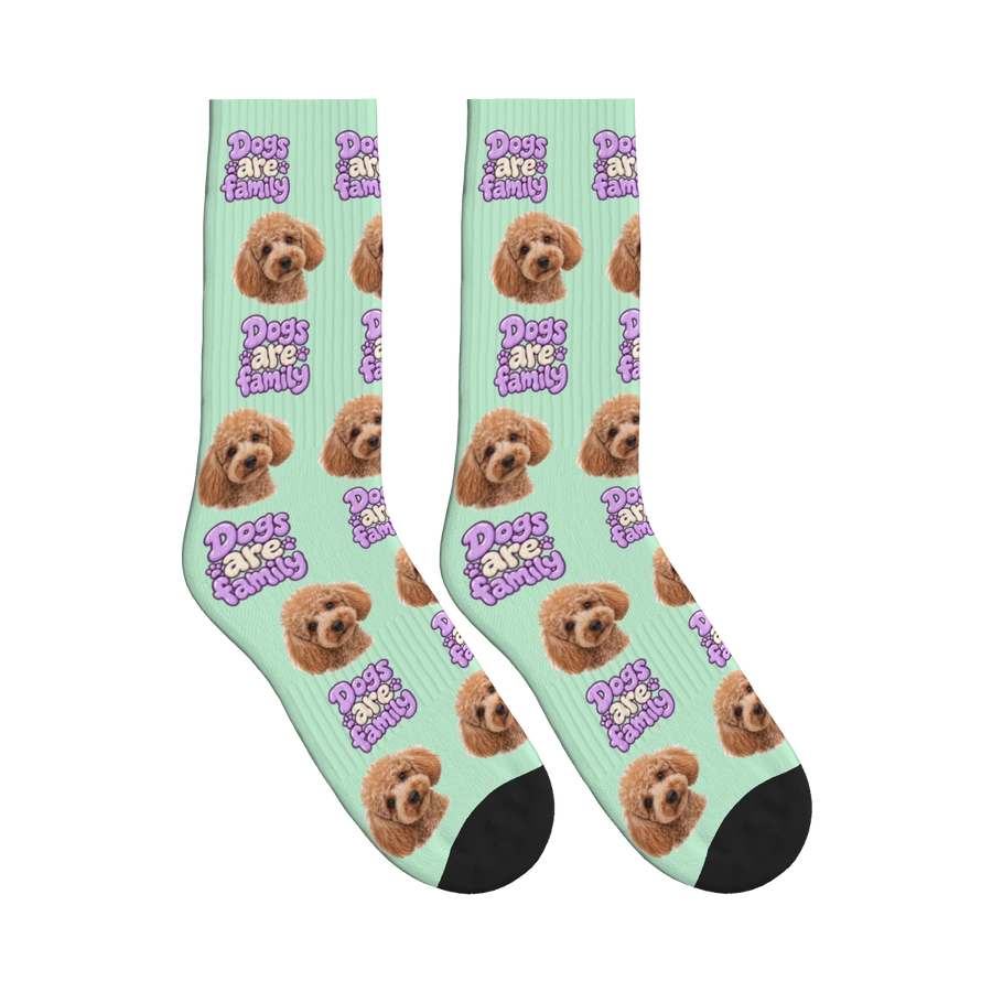 Dogs Are Family Bubble Socks in Mint Green with a custom dog face and Dogs are family lettering