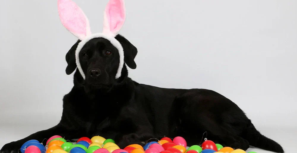 Easter Pup Patrol