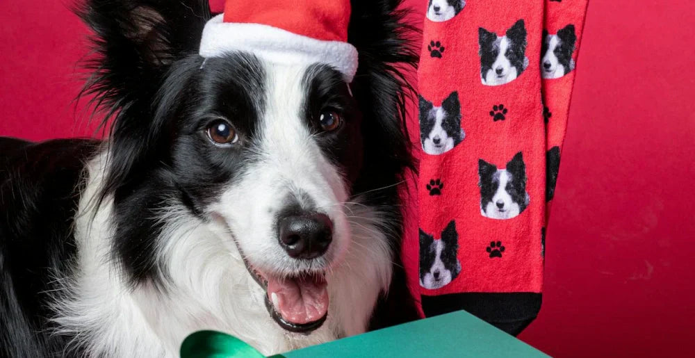 Red socks with dog faces