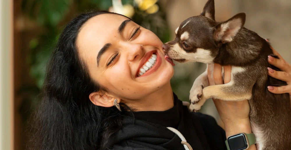 A Dog kisses a woman