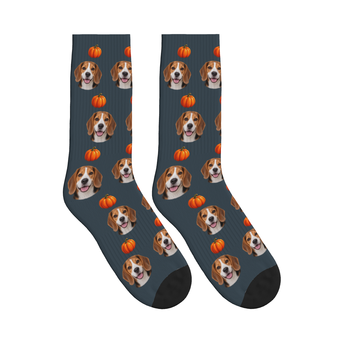 Autumn Pumpkin Dog Face Socks in Charcoal Gray with a custom dog photo and pumpkin pattern