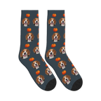 Autumn Pumpkin Dog Face Socks in Charcoal Gray with a custom dog photo and pumpkin pattern