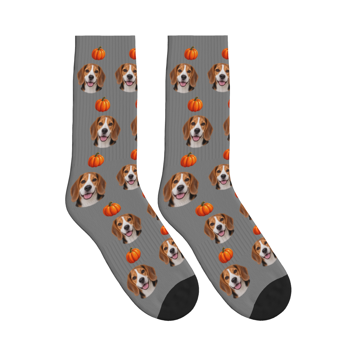 Autumn Pumpkin Dog Face Socks in Gray with a custom dog photo and pumpkin pattern
