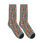 Autumn Pumpkin Dog Face Socks in Gray with a custom dog photo and pumpkin pattern