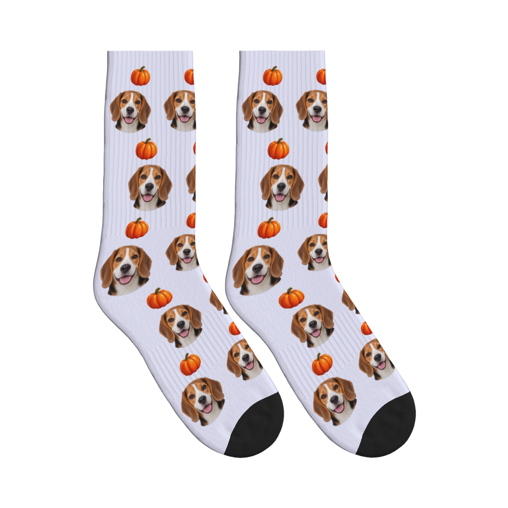 Autumn Pumpkin Dog Face Socks in Lavender with a custom dog photo and pumpkin pattern