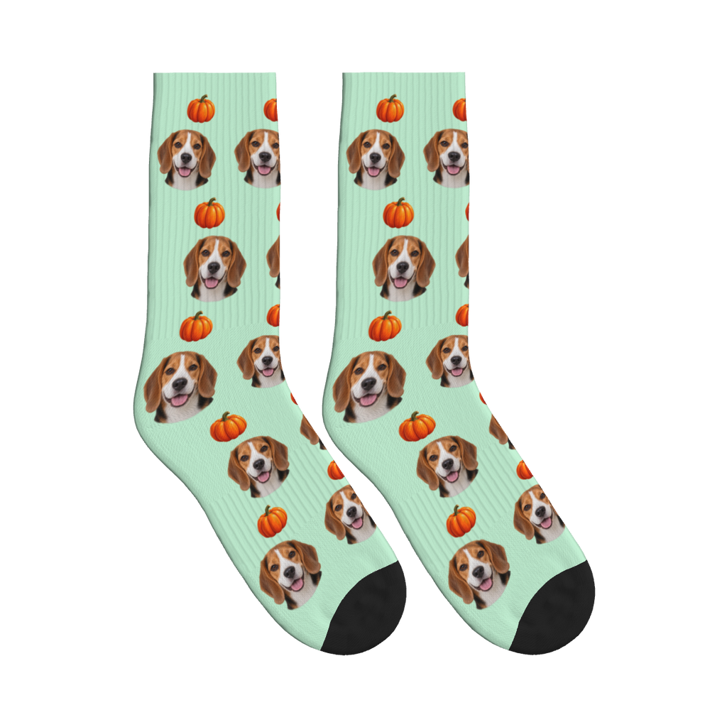 Autumn Pumpkin Dog Face Socks in Mint Green with a custom dog photo and pumpkin pattern