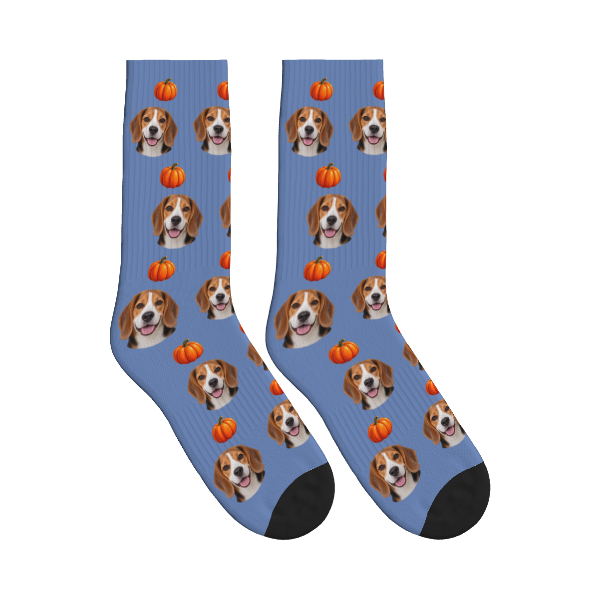 Autumn Pumpkin Dog Face Socks in Slate Blue with a custom dog photo and pumpkin pattern