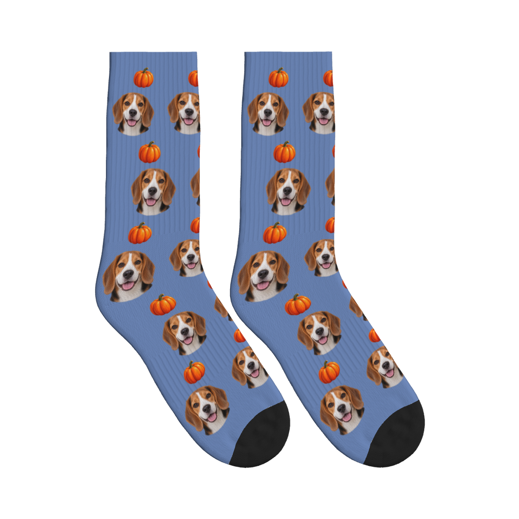 Autumn Pumpkin Dog Face Socks in Slate Blue with a custom dog photo and pumpkin pattern
