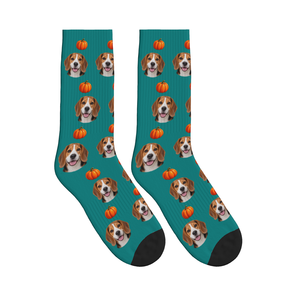 Autumn Pumpkin Dog Face Socks in Teal with a custom dog photo and pumpkin pattern