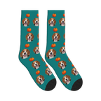 Autumn Pumpkin Dog Face Socks in Teal with a custom dog photo and pumpkin pattern