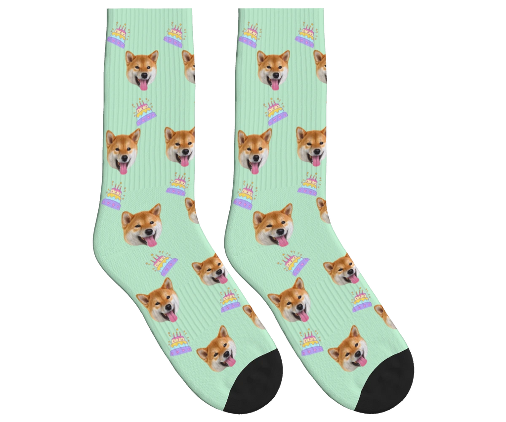 Birthday Cake & Dog Face Socks in Mint Green — personalized dog photo design