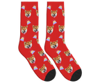 Birthday Cake & Dog Face Socks in Red — personalized dog photo design