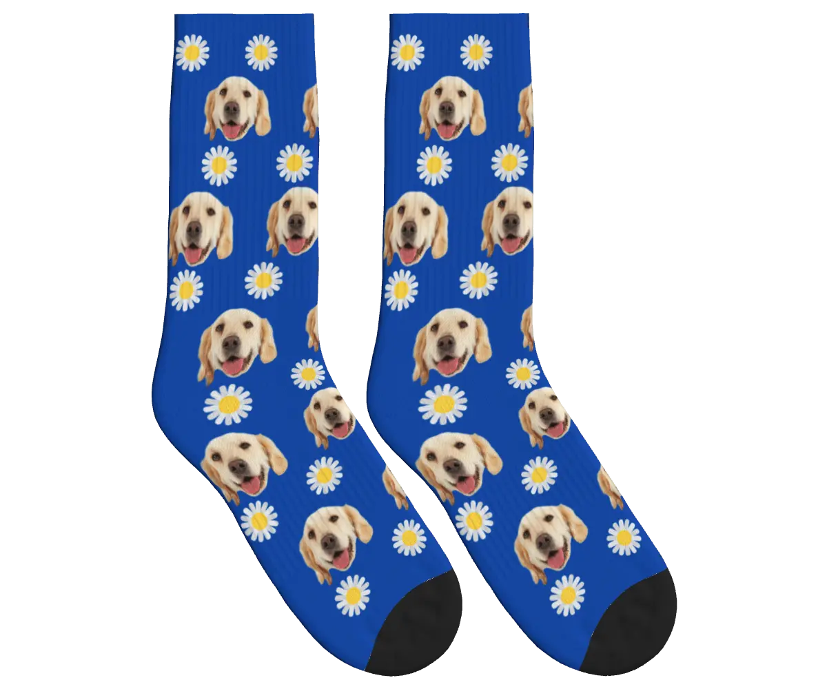 Daisy Print Socks