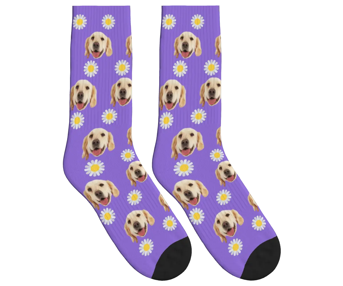 Daisy Print Socks