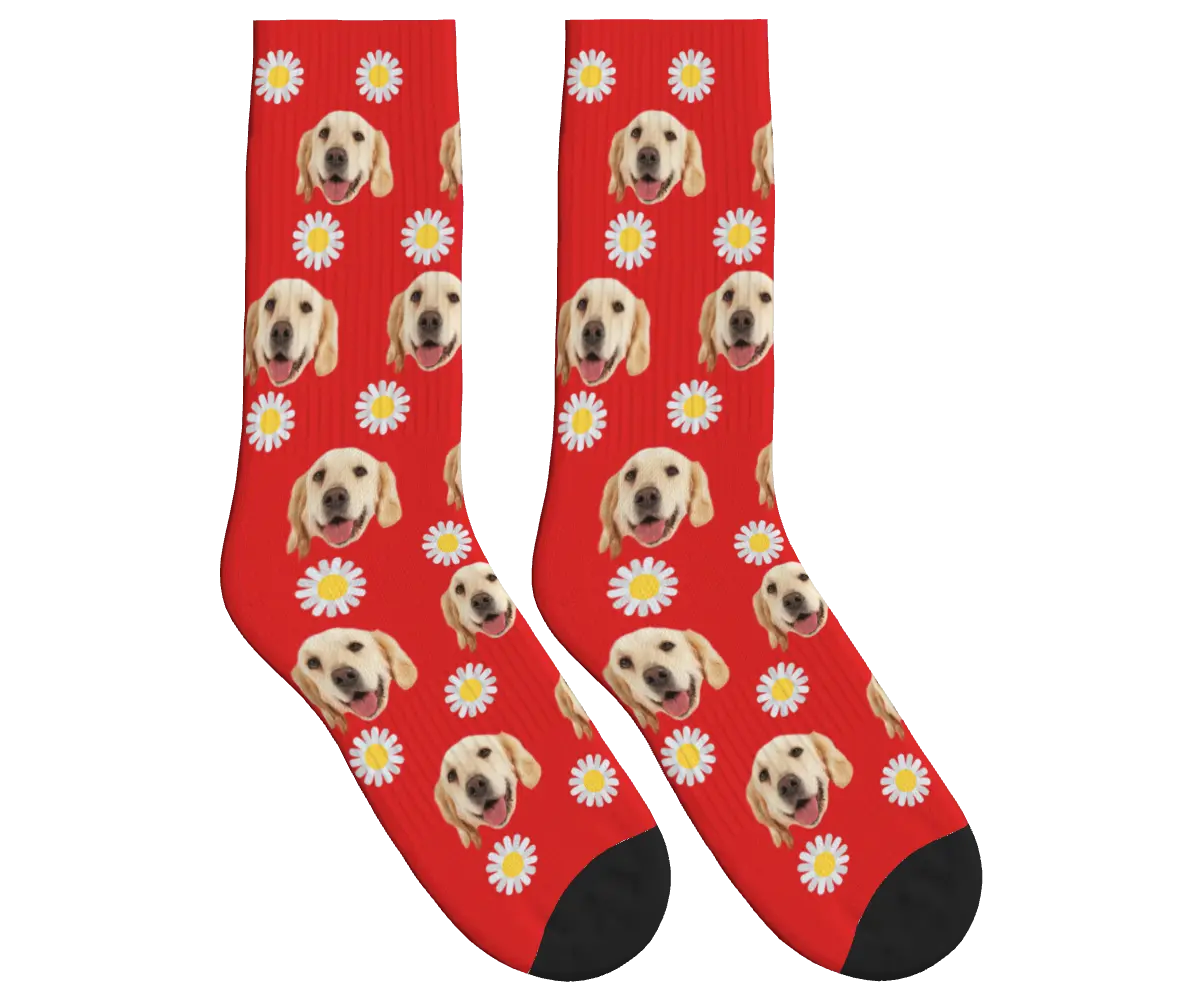 Daisy Print Socks