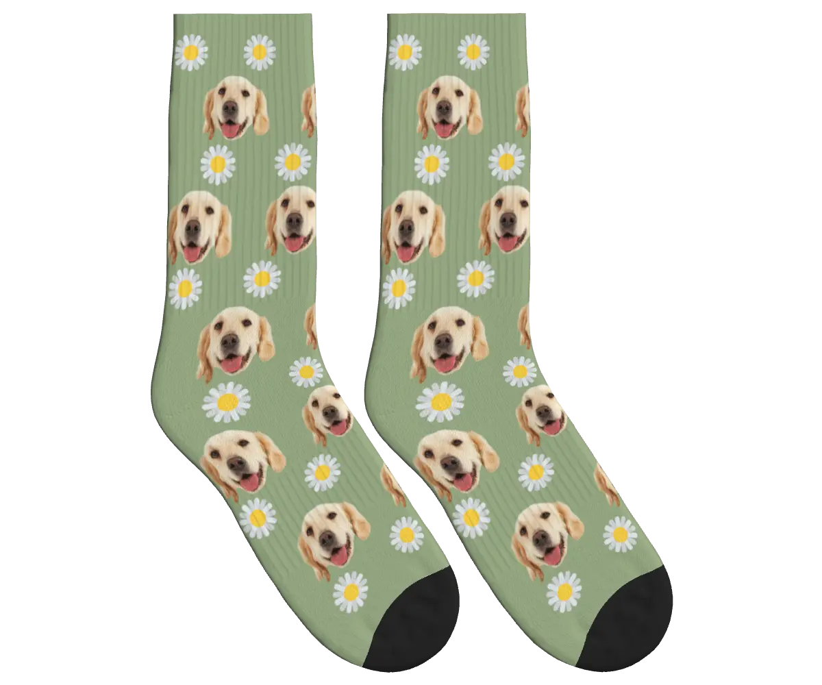 Daisy Print Socks