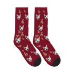 Donkey Pinata Dog Face Socks in Burgundy with a custom dog photo