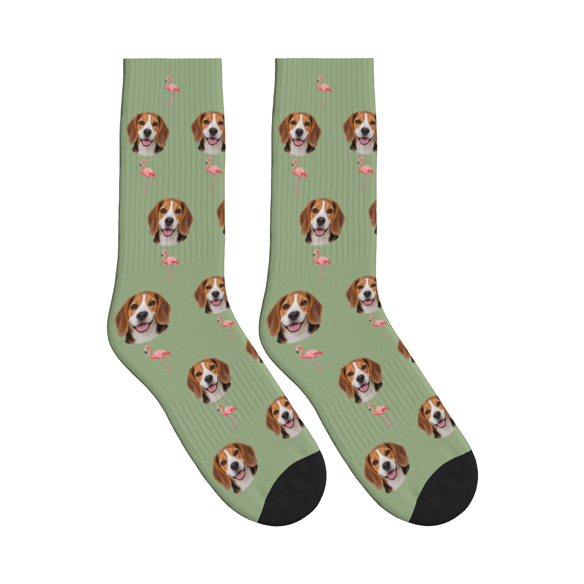 Flamingo Dog Face Socks in Sage Green with a custom dog photo