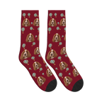 Hot Air Balloon Dog Face Socks in Burgundy with a custom dog photo