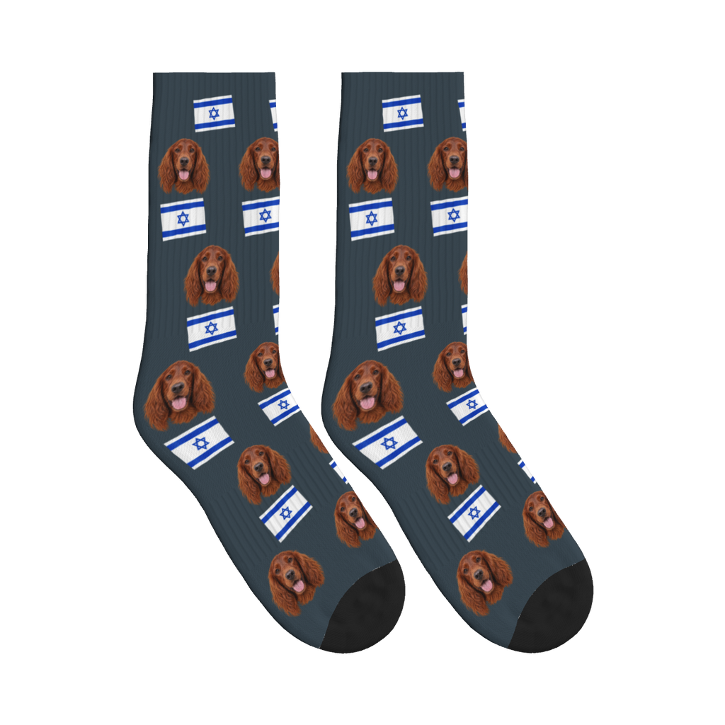 Israel Flag Dog Face Socks in Charcoal Gray with a custom dog photo