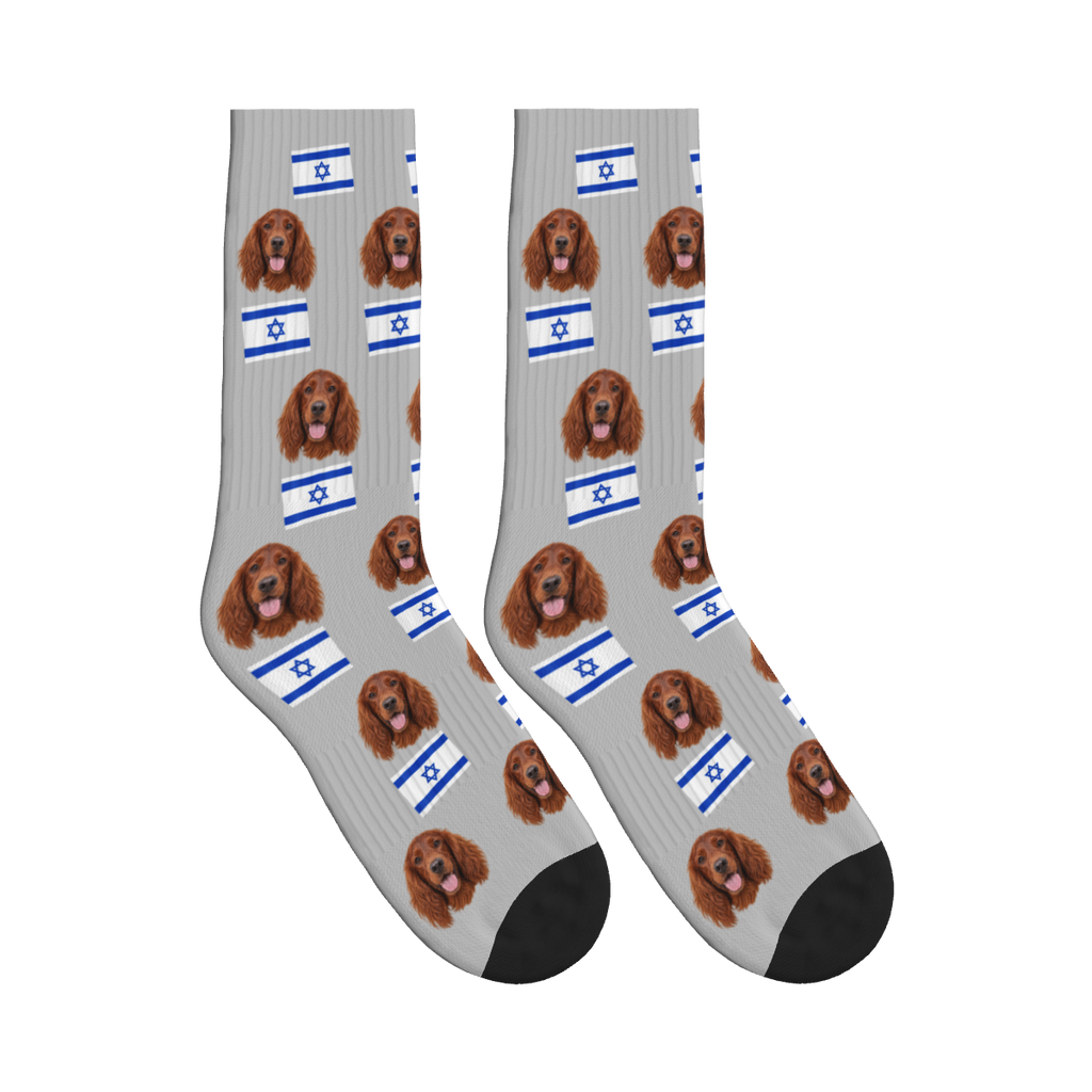 Israel Flag Dog Face Socks in Light Gray with a custom dog photo