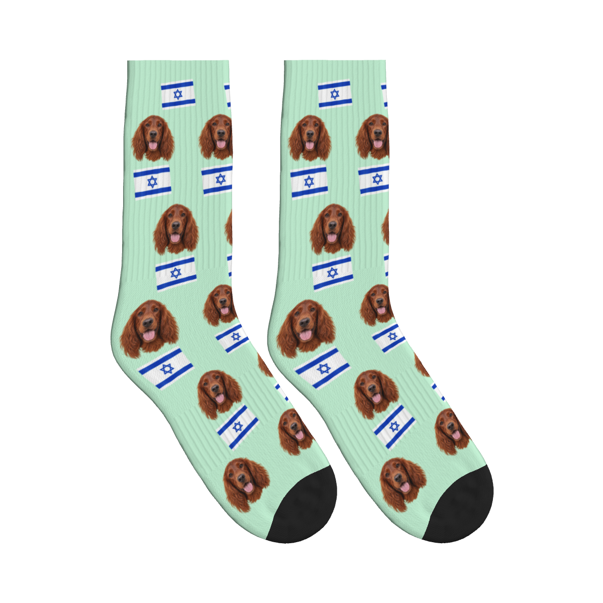 Israel Flag Dog Face Socks in Mint Green with a custom dog photo