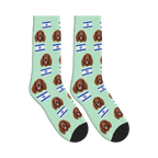 Israel Flag Dog Face Socks in Mint Green with a custom dog photo