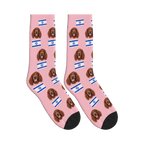 Israel Flag Dog Face Socks in Pink with a custom dog photo
