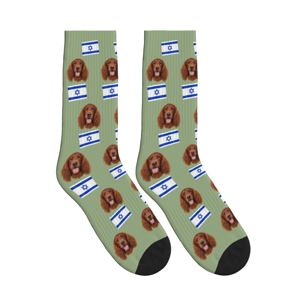 Israel Flag Dog Face Socks in Sage Green with a custom dog photo