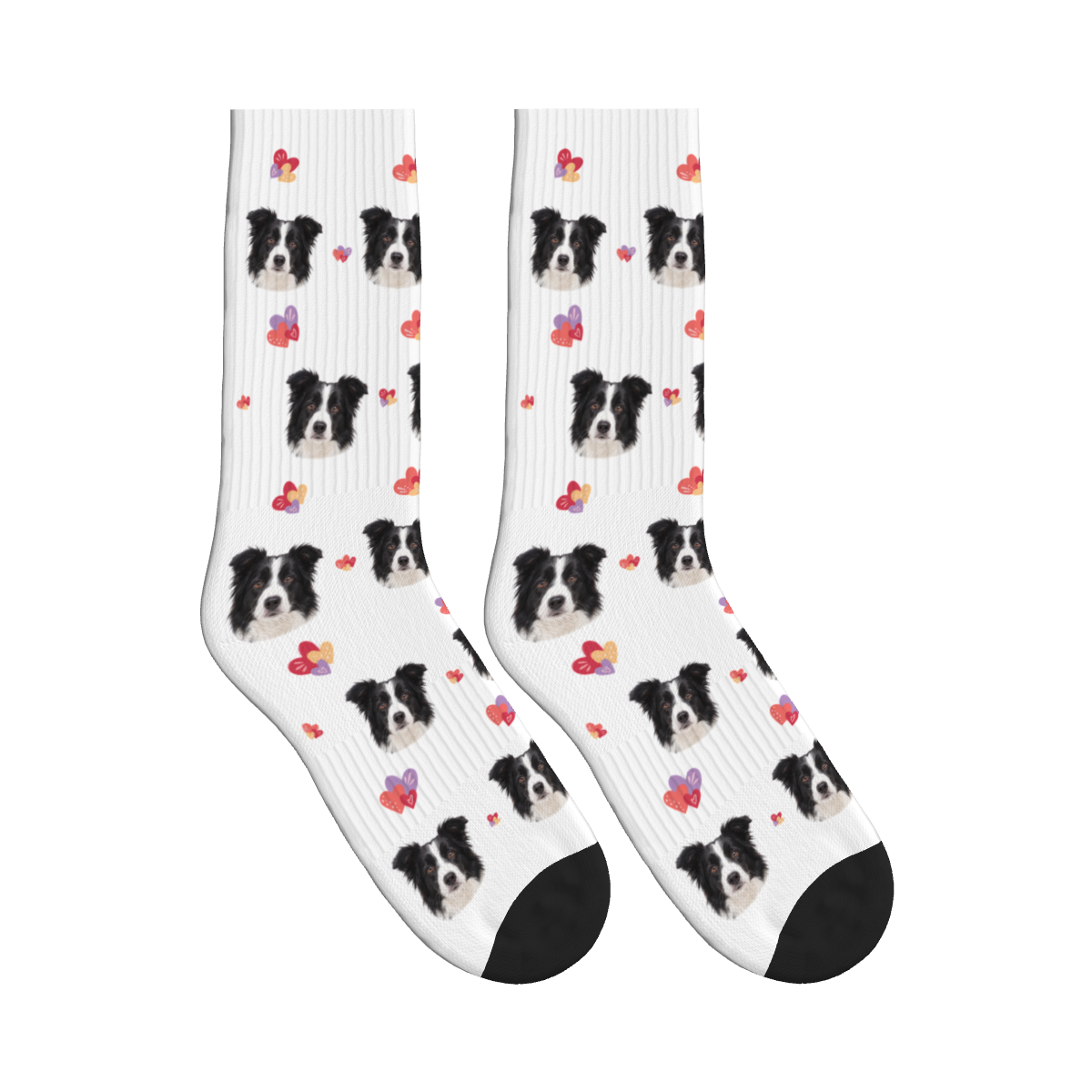 Layered Hearts Dog Face Socks in White with a custom dog photo