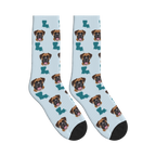 Louisiana Map Dog Face Socks in Powder Blue with a custom dog photo