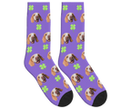 Clover & Dog Face Socks in Purple — personalized dog photo design