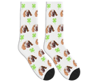 Clover & Dog Face Socks in White — personalized dog photo design
