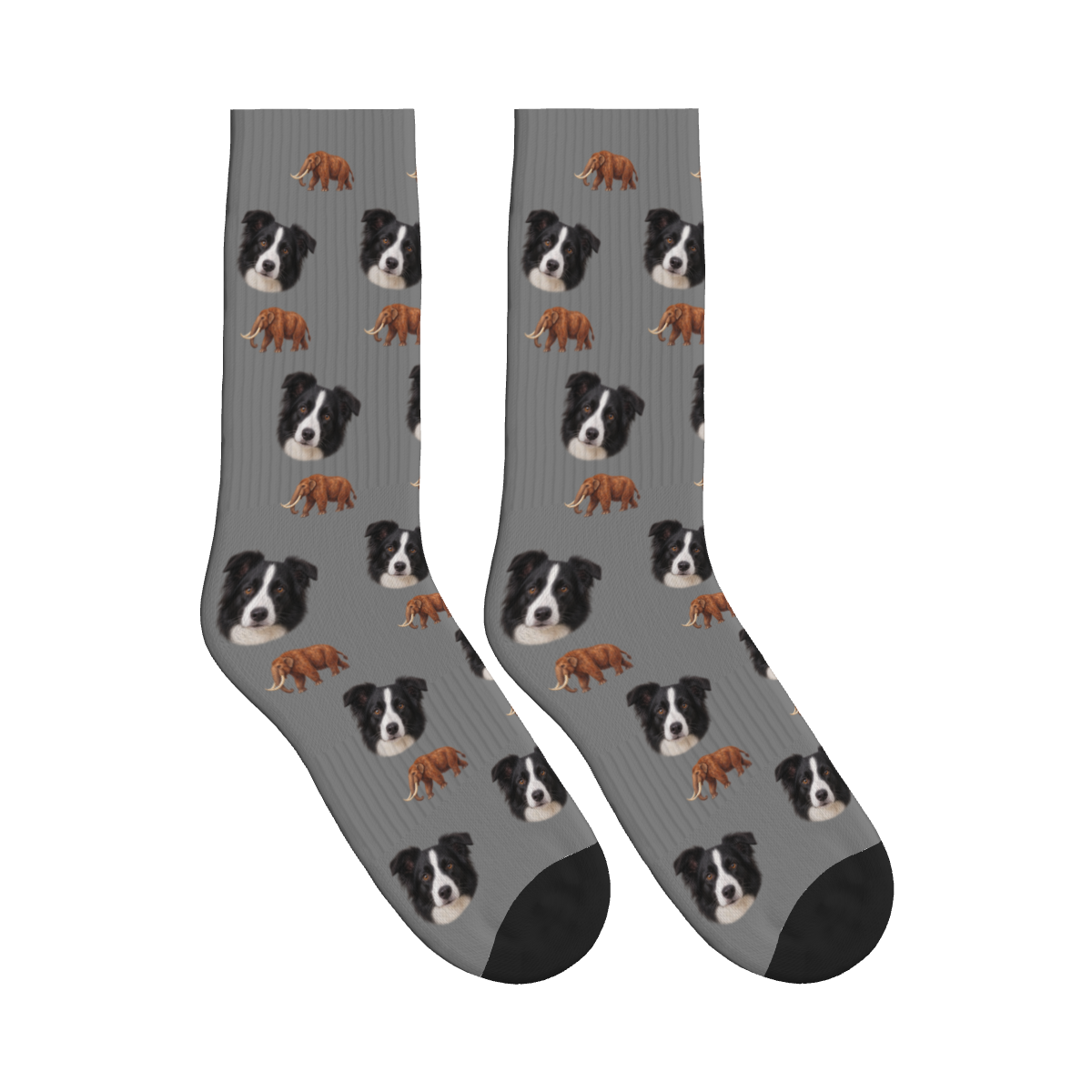 Mastodon Dog Face Socks in Gray with a custom dog photo