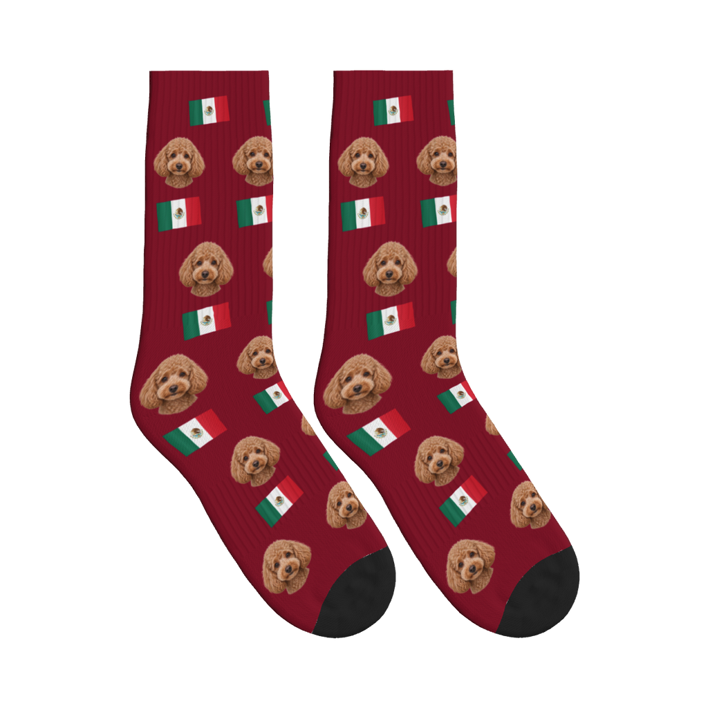 Mexico Flag Dog Face Socks in Burgundy with a custom dog photo