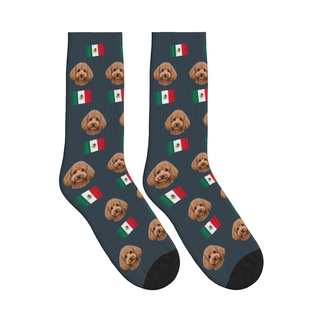 Mexico Flag Dog Face Socks in Charcoal Gray with a custom dog photo