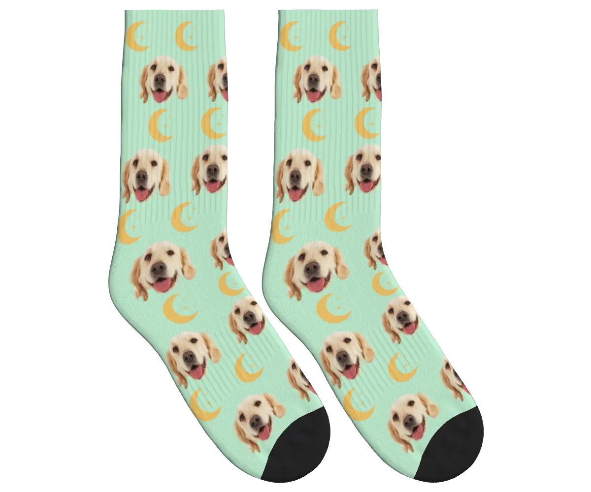 Moons & Pup Faces Socks - Mint Green / Crew Socks