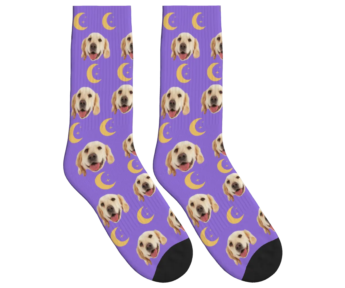 Moons & Pup Faces Socks - Purple / Crew Socks
