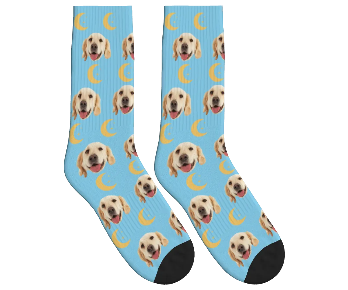 Moons & Pup Faces Socks - Sky Blue / Crew Socks